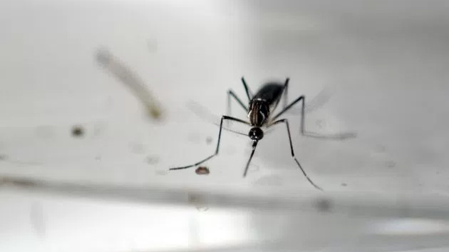 As new school year approaches, Miami univ. take steps against Zika