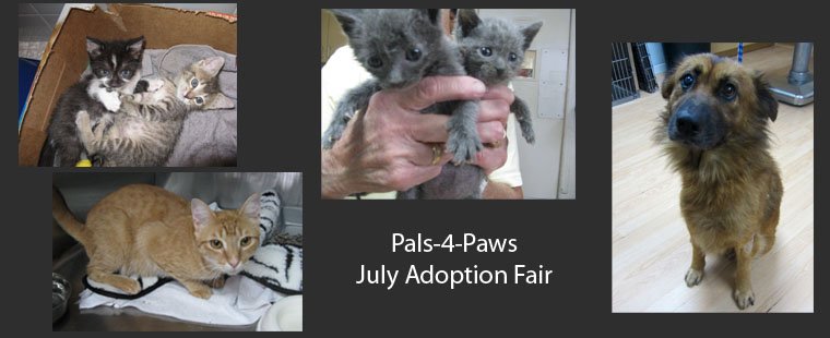 Pals-4-Paws July Adoption Fair