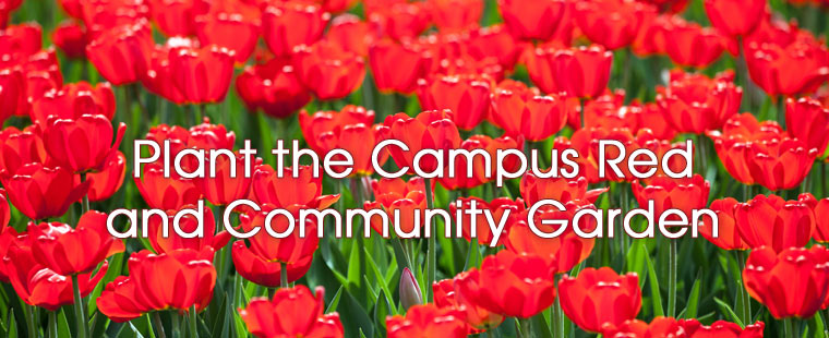 Founders' Week: Wednesday, Nov. 14 – Plant the Campus Red