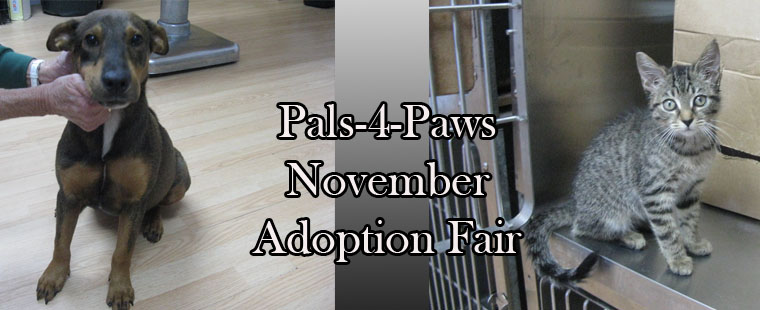 Pals-4-Paws Food Bank and Adoption Fair