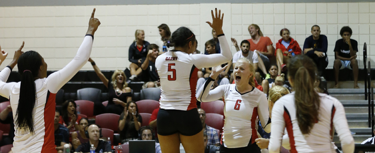 Volleyball Takes Roar Out of Lions