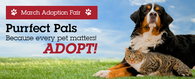 Pals-4-Paws March Adoption Fair