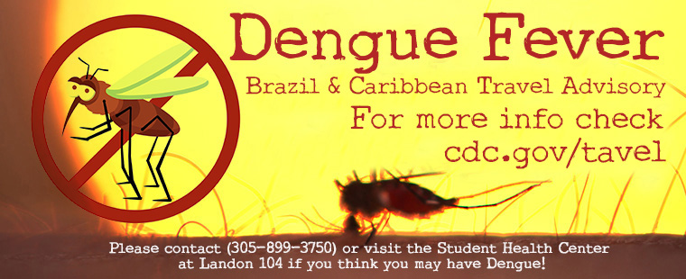 WorldAware Medical Alert: Brazil - Dengue Fever Alert in Parts of Brazil