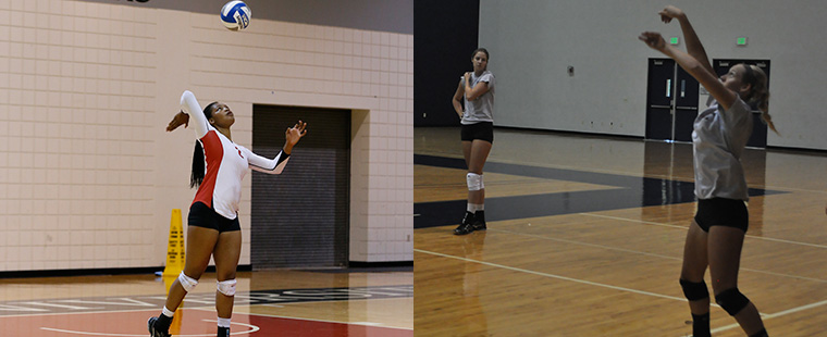 Jaco Picked as SSC Volleyball Defensive Player of Week