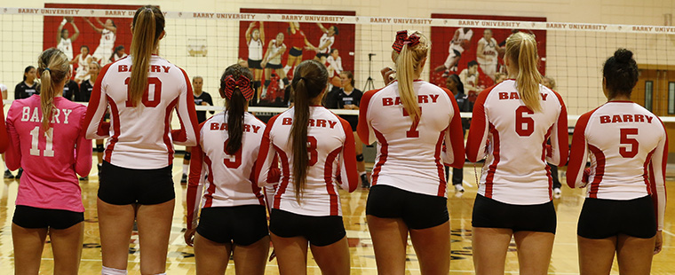 Volleyball Toppled By Knights