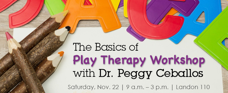 Sunshine Seminar Series Presents: The Basics of Play Therapy