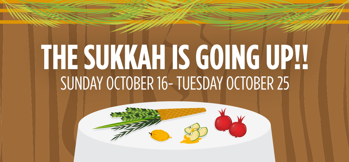 The Sukkah is Going Up!!
