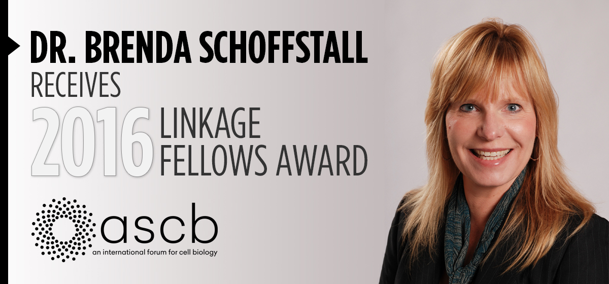 Dr. Brenda Schoffstall receives 2016 Linkage Fellows Award