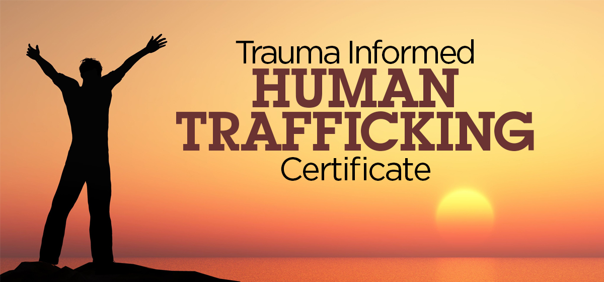 New Trauma Informed Human Trafficking Certificate