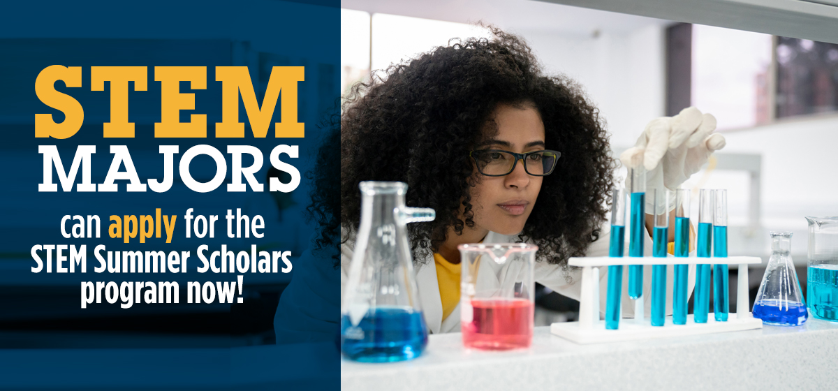 Get a head start at Barry! Apply for the STEM Summer Scholars Program. 