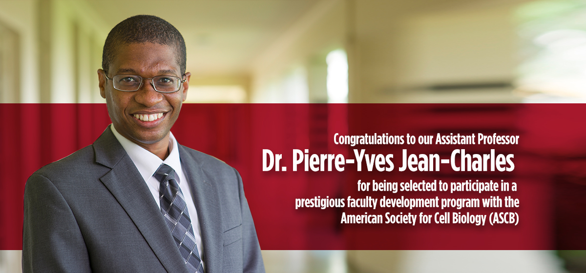 Congratulations to our Assistant Professor Dr. Pierre-Yves Jean-Charles