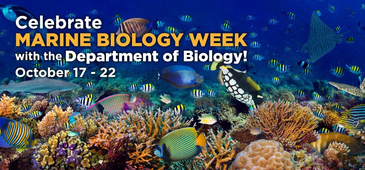 Celebrate Marine Biology Week with the Department of Biology!