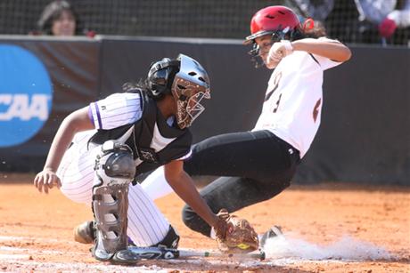 Softball Survives Joust With Knights