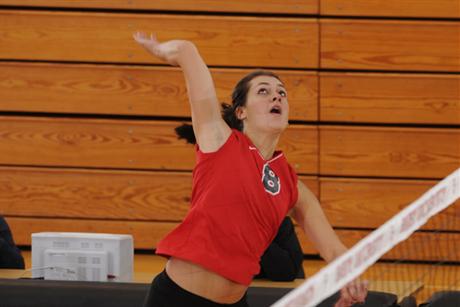 Volleyball Slashes Panthers In Three